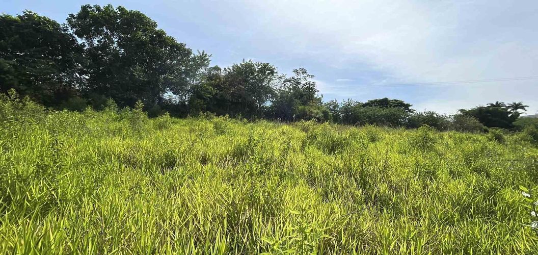 Lote en venta en Cerritos, Pereira · foto 15 de 19