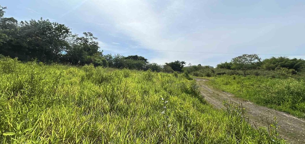 Lote en venta en Cerritos, Pereira · foto 16 de 19