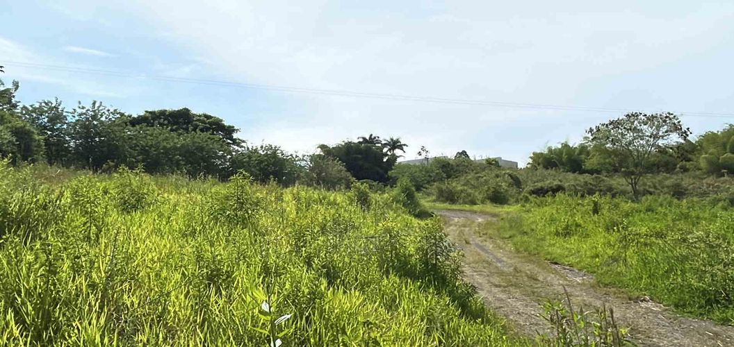 Lote en venta en Cerritos, Pereira · foto 17 de 19