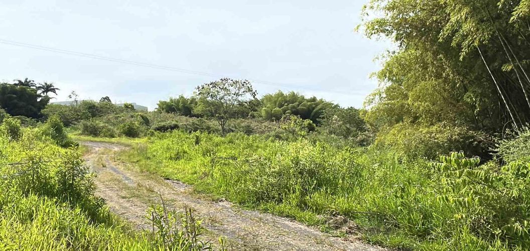Lote en venta en Cerritos, Pereira · foto 18 de 19