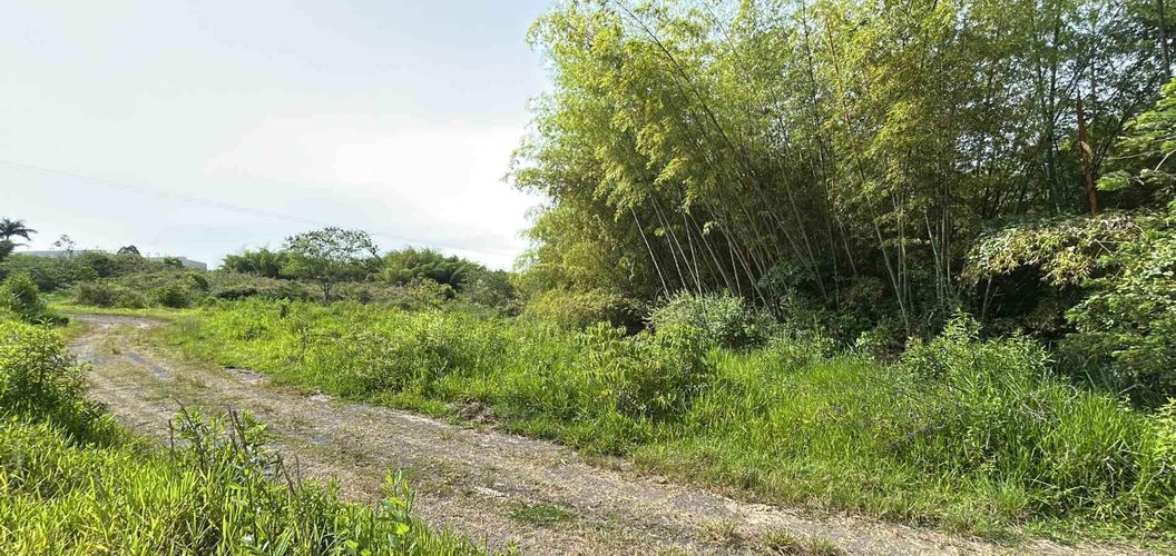 Lote en venta en Cerritos, Pereira · foto 19 de 19