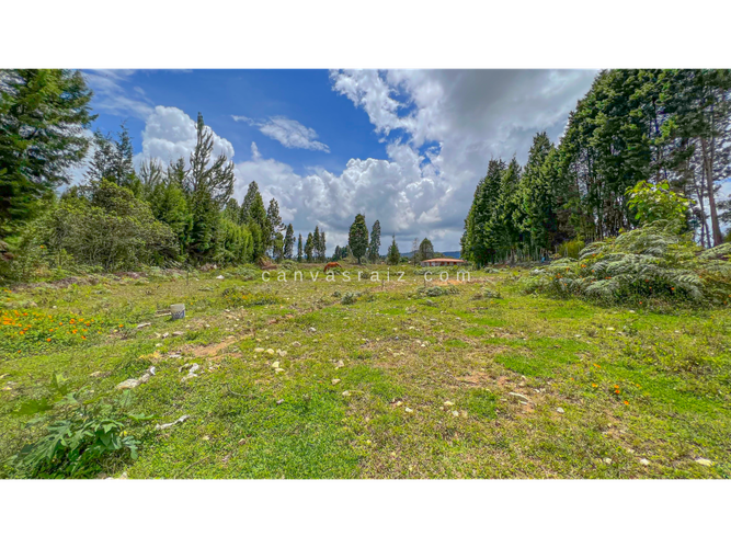 Finca en venta en Hojas Anchas, Guarne, 350 m² · foto 10 de 11