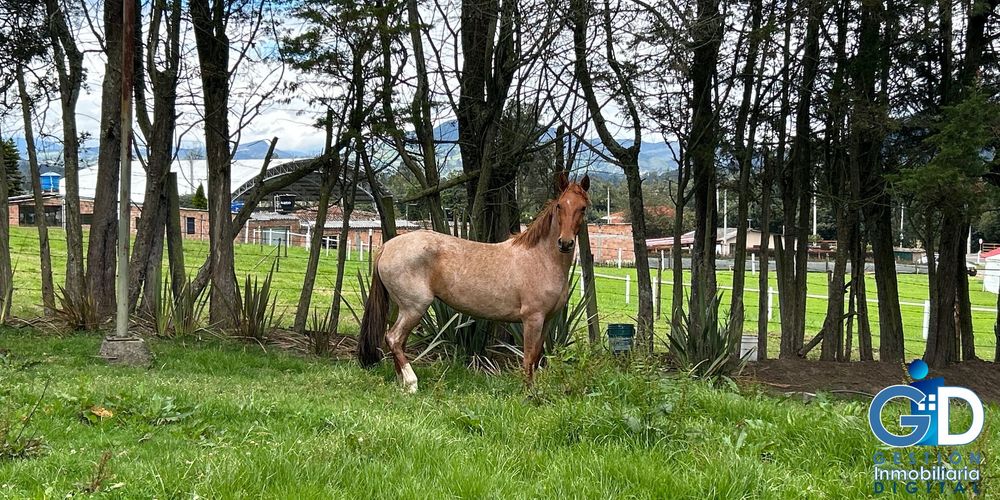 Finca en venta en La Violeta, Sopó, 10637 m² · foto 2 de 24