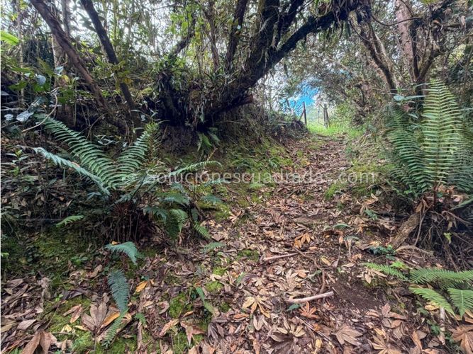 Casa de 3 alcobas en venta en Marquez, La Calera, 390 m² · foto 3 de 20