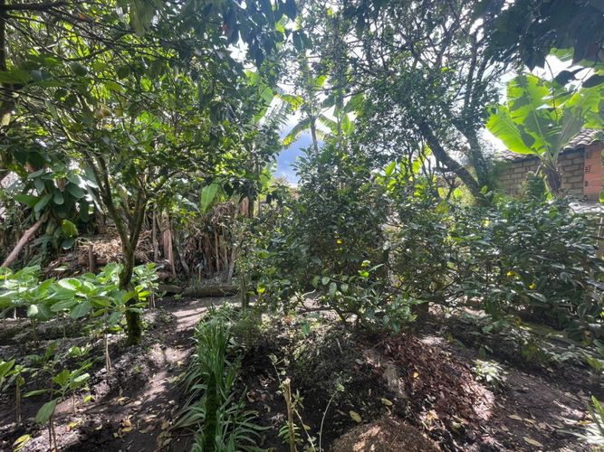 Casa en venta en Villa Maria, El Carmen de Viboral, 359 m² · foto 4 de 6