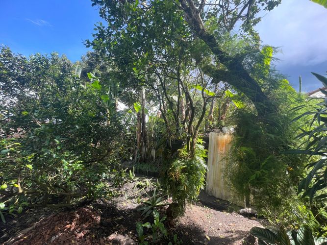 Casa en venta en Villa Maria, El Carmen de Viboral, 359 m² · foto 5 de 6