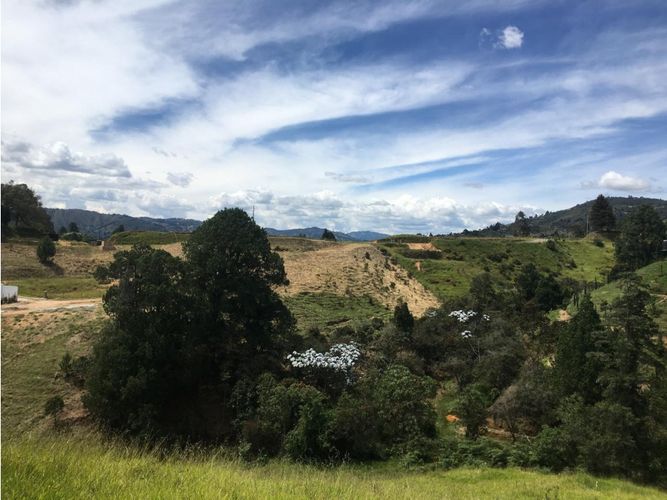 Lote en venta en La Clara, Guarne, 2795 m² · foto 5 de 5
