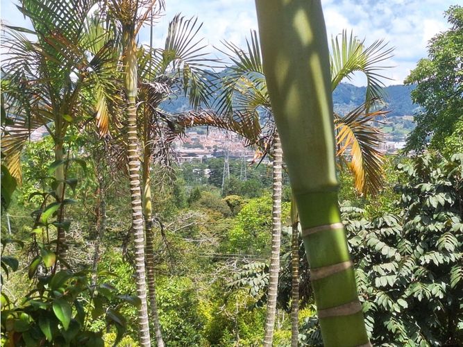 Finca en venta en Lomitas, La Ceja, 715 m² · foto 18 de 24