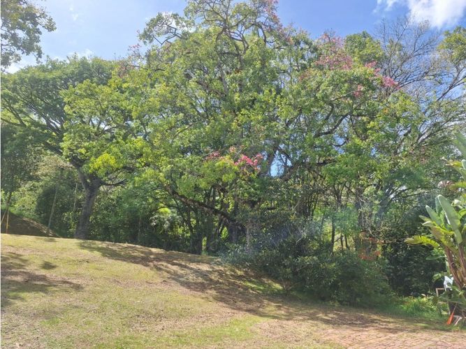 Finca en venta en Lomitas, La Ceja, 715 m² · foto 19 de 24