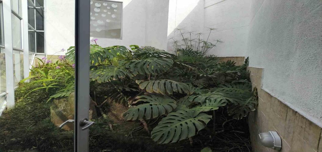 Casa de 6 alcobas en venta en Armenia, 456 m² · foto 19 de 24
