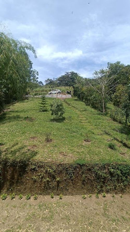 Finca en venta en La Florida, Pereira, 200 m² · foto 18 de 18