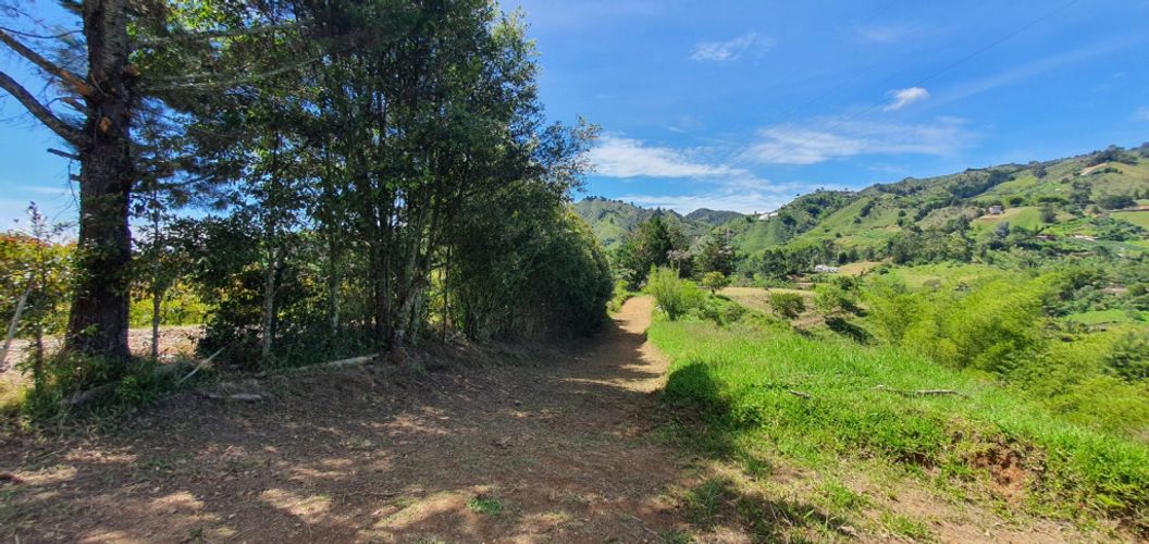 Lote en venta en Pablo Sexto, Marinilla, 6400 m² · foto 7 de 8