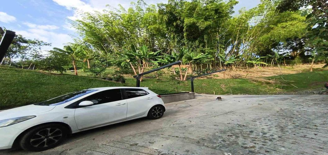 Finca en venta en San Peregrino, Manizales, 895 m² · foto 9 de 24