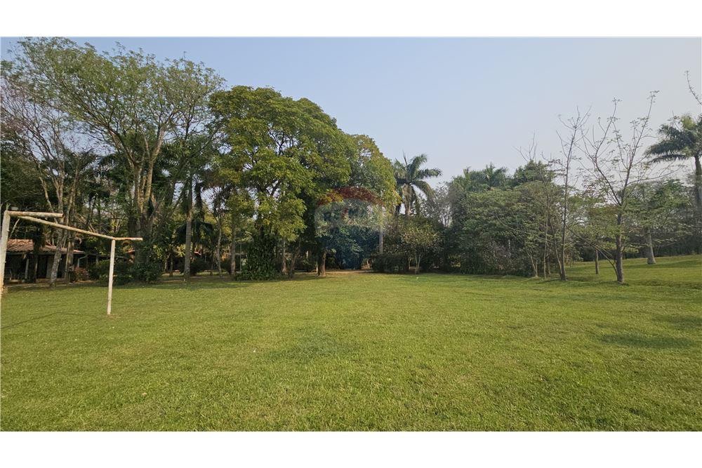 Propiedad con arroyo, plantación de eucaliptos — foto 2