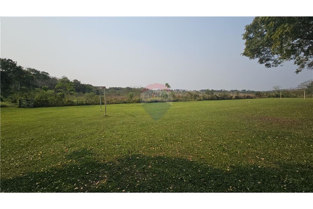 Propiedad con arroyo, plantación de eucaliptos — foto 3