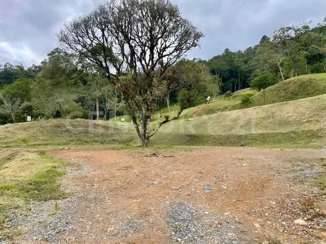 Lote en venta en El Carmen, El Retiro, 1574 m² · foto 5 de 16
