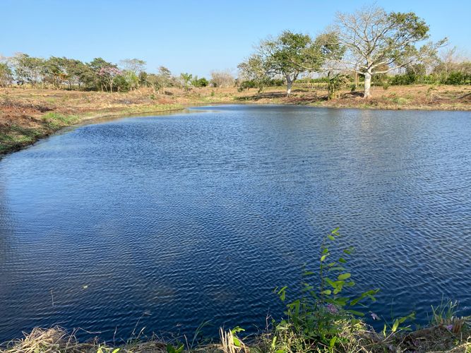 Finca en venta en Campeche, Barranquilla, 60000 m² · foto 13 de 17
