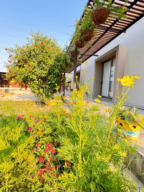 Finca en venta en Campeche, Barranquilla, 60000 m² · foto 14 de 17
