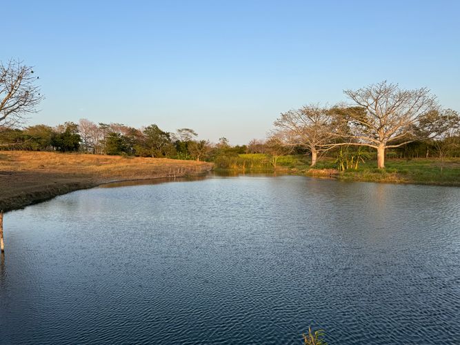 Finca en venta en Campeche, Barranquilla, 60000 m² · foto 16 de 17
