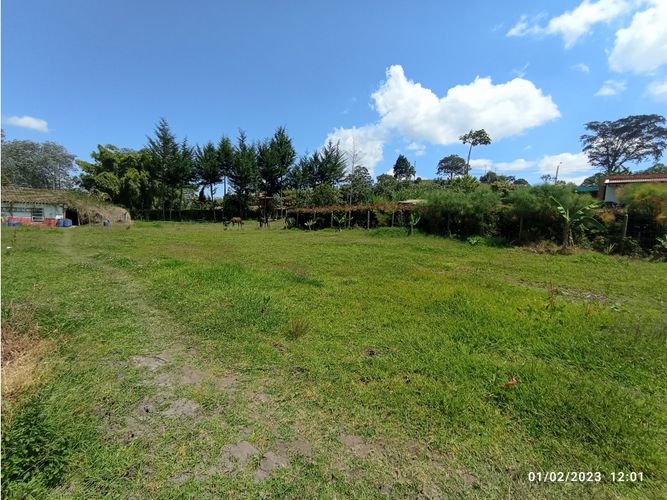Lote en venta en La Ceja, 2500 m² · foto 6 de 6