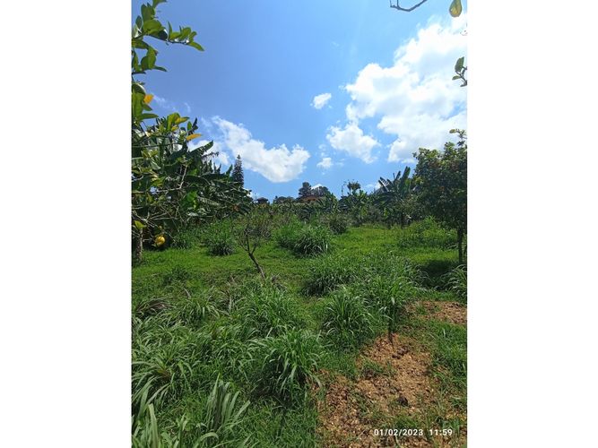 Lote en venta en La Ceja, 2500 m² · foto 2 de 4