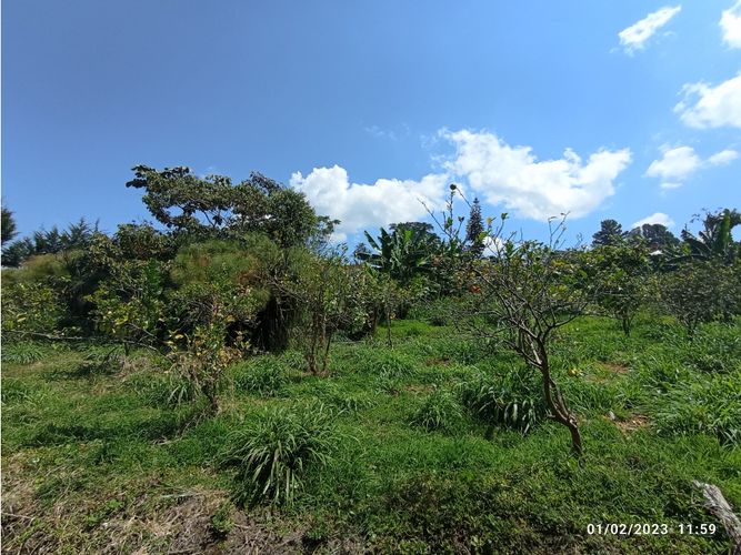 Lote en venta en La Ceja, 2500 m² · foto 3 de 4