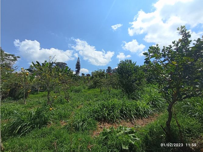 Lote en venta en La Ceja, 2500 m² · foto 4 de 4