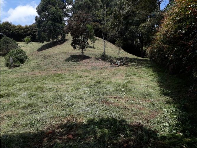 Lote en venta en Guamito, La Ceja, 5136 m² · foto 2 de 4
