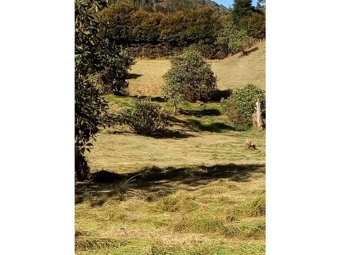 Lote en venta en Guamito, La Ceja, 5136 m² · foto 3 de 4