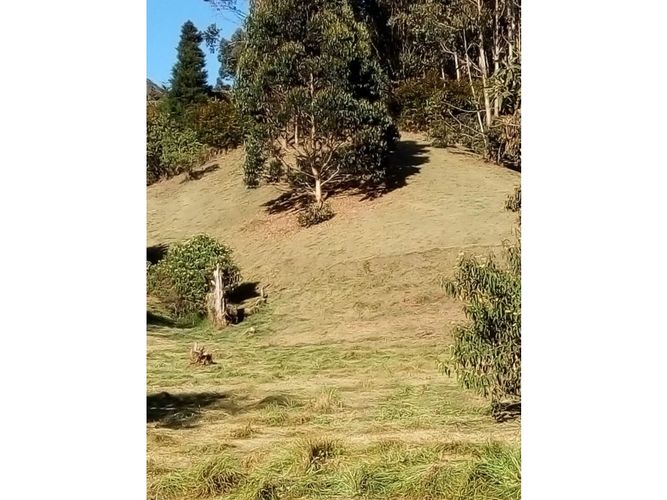 Lote en venta en Guamito, La Ceja, 5136 m² · foto 4 de 4