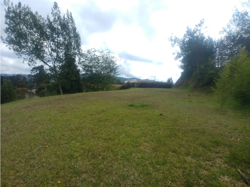 Land in El Portento (2596 m²) for Sale - 4