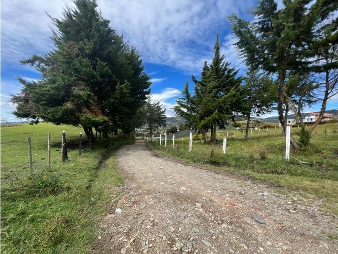 Lote en venta en El Progreso, El Carmen de Viboral, 4060 m² · foto 7 de 7
