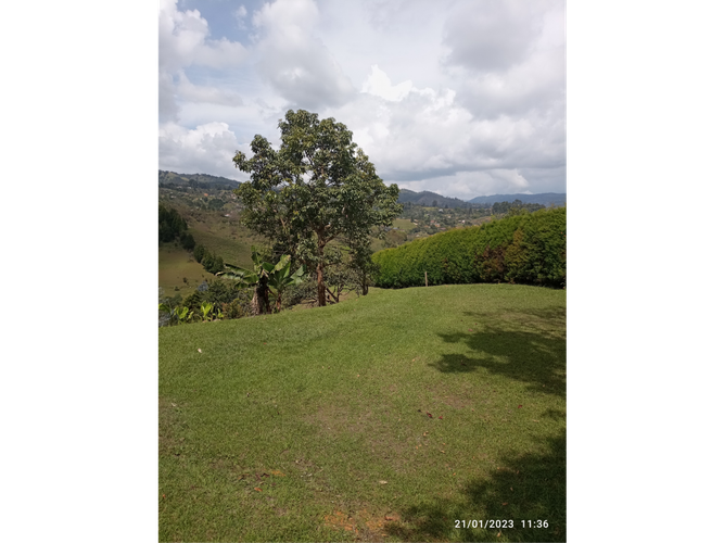 Lote en venta en Guarne, 1100 m² · foto 3 de 4