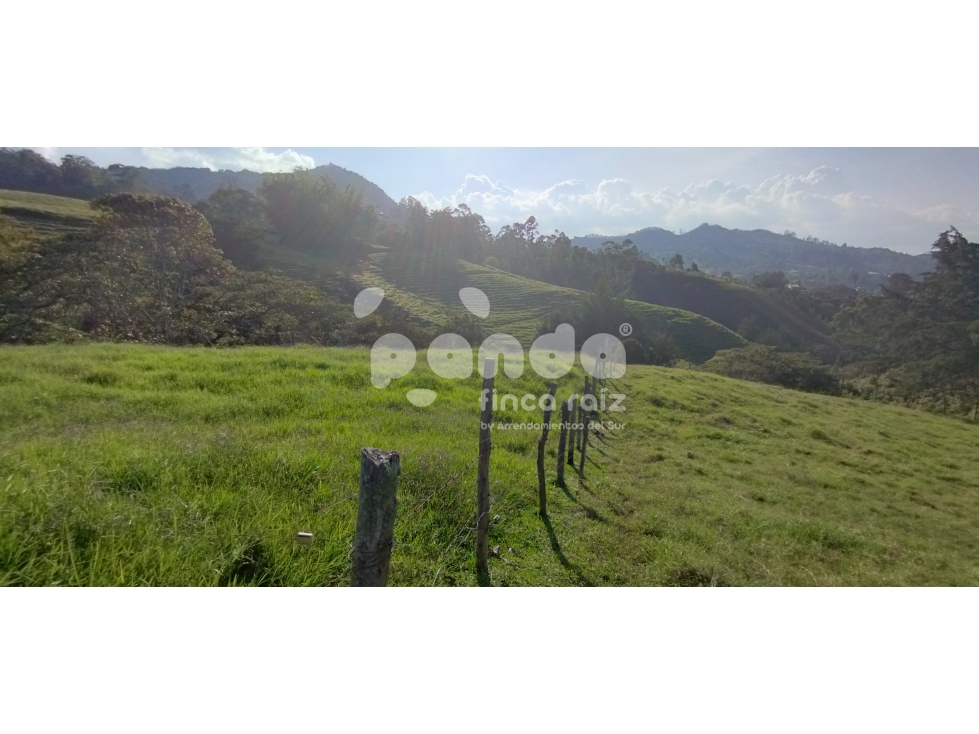 Land in Pontezuela for Sale - 2