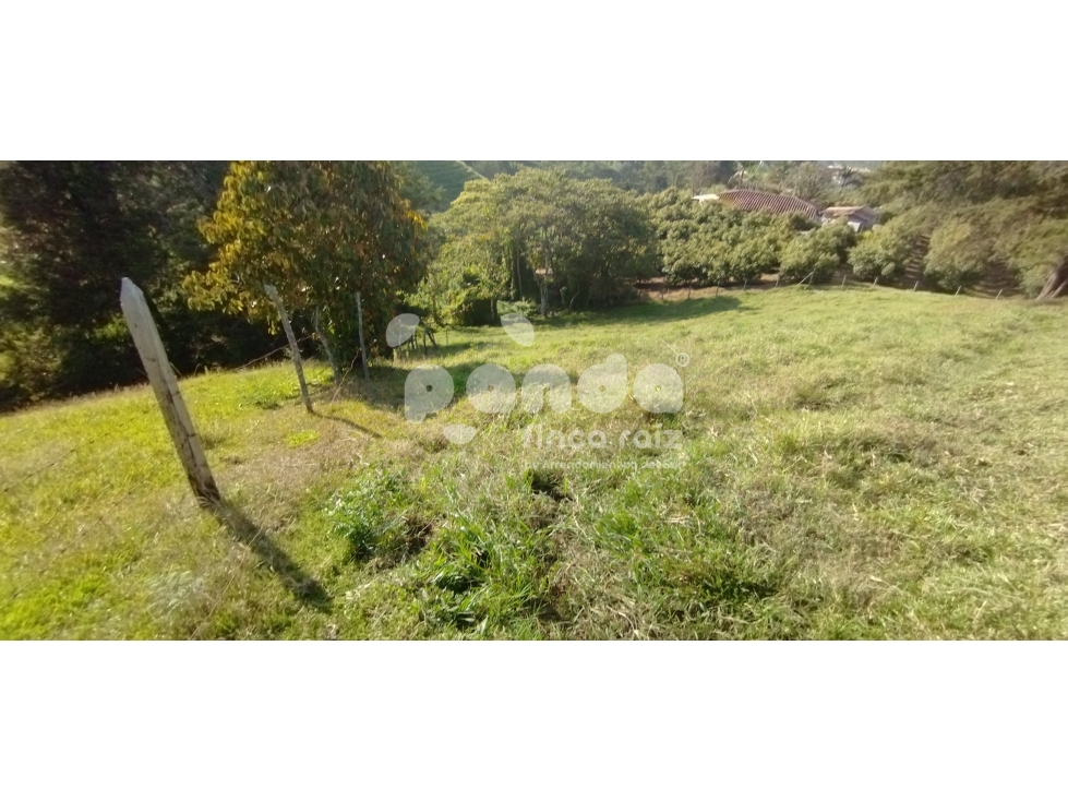 Land in Pontezuela for Sale - 3