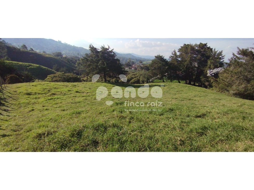 Land in Pontezuela for Sale - 4