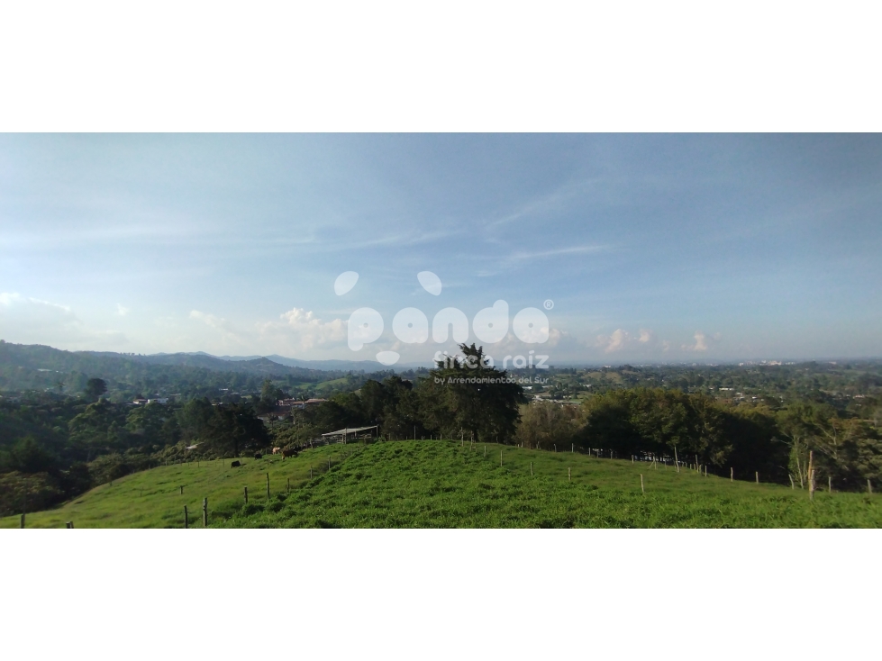 Land in Pontezuela for Sale
