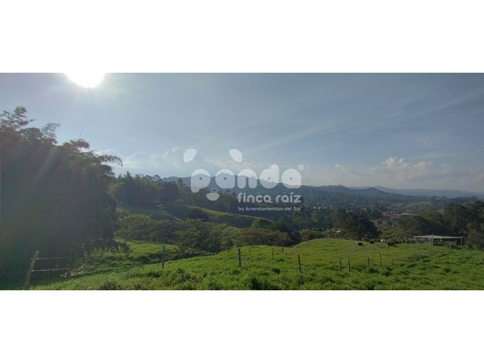 Land in Pontezuela for Sale - 2