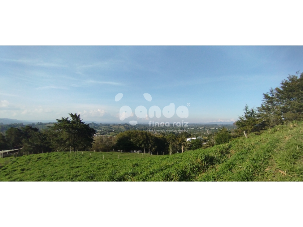 Land in Pontezuela for Sale - 4