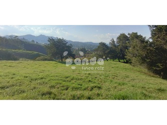 Lote en venta en Pontezuela, Rionegro, 6200 m² · foto 5 de 7