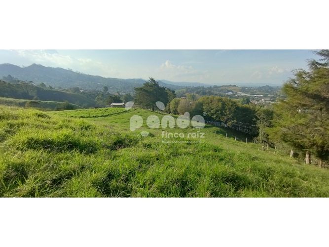 Lote en venta en Pontezuela, Rionegro, 6200 m² · foto 6 de 7