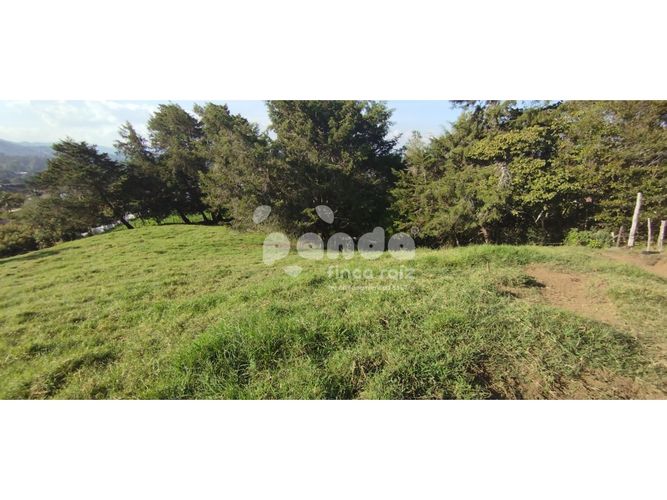 Lote en venta en Pontezuela, Rionegro, 6200 m² · foto 7 de 7