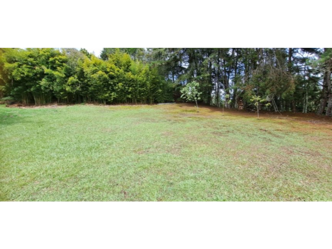 Casa de 3 alcobas en venta en El Capiro, Rionegro, 310 m² · foto 6 de 17