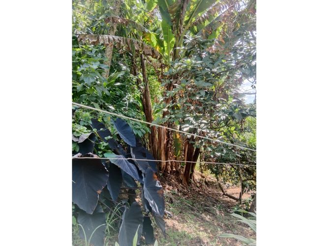 Lote en venta en El Salado, Envigado, 106 m² · foto 3 de 14