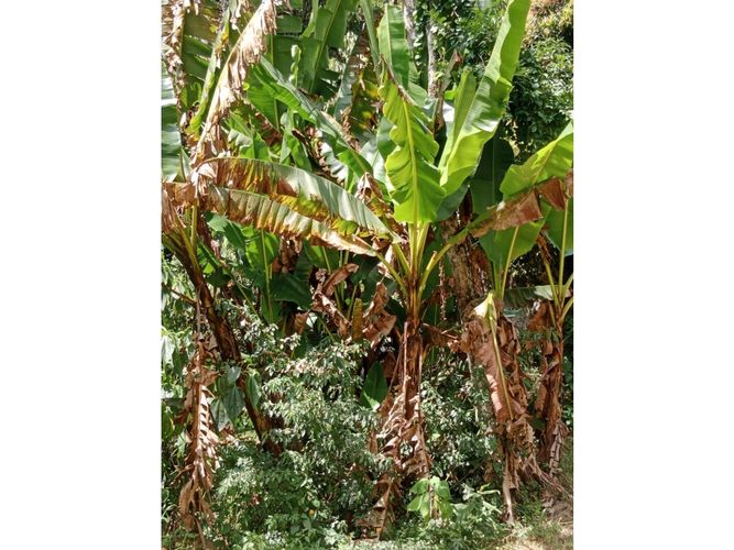 Lote en venta en El Salado, Envigado, 106 m² · foto 4 de 14