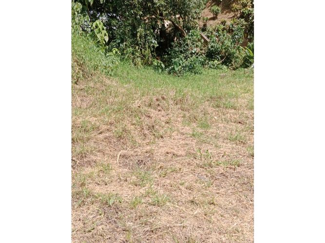 Lote en venta en El Salado, Envigado, 106 m² · foto 6 de 14