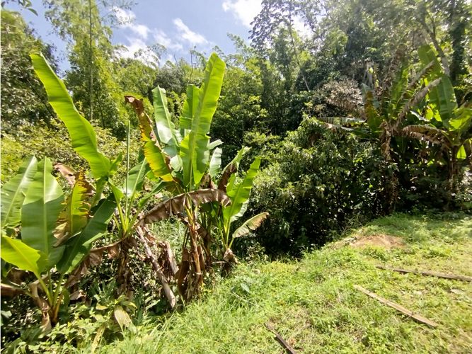 Lote en venta en El Salado, Envigado, 106 m² · foto 10 de 14