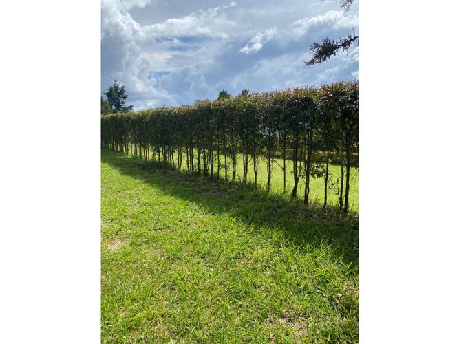 Lote en venta en El Zango, Guarne, 2075 m² · foto 2 de 4