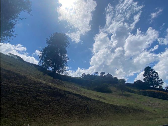 Lote en venta en Centro, Rionegro, 2579 m² · foto 4 de 7