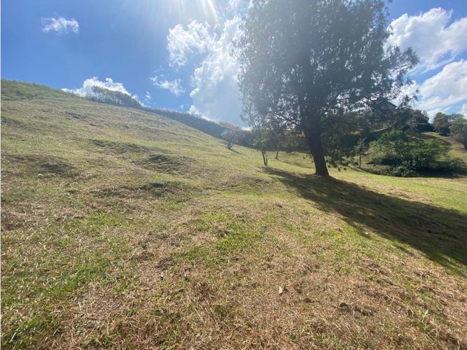 Lote en venta en Centro, Rionegro, 2579 m² · foto 6 de 7